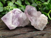 Natural Jacaranda Amethyst Single Quartz Crystals x 24 from Mumbwa, Zambia