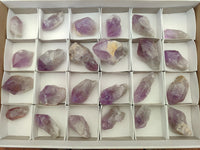 Natural Jacaranda Amethyst Single Quartz Crystals x 24 from Mumbwa, Zambia