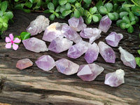 Natural Jacaranda Amethyst Single Quartz Crystals x 24 from Mumbwa, Zambia