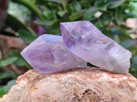 Natural Jacaranda Amethyst Single Quartz Crystals x 24 from Mumbwa, Zambia