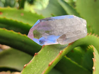 Natural Jacaranda Amethyst Single Quartz Crystals x 24 from Mumbwa, Zambia