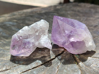 Natural Jacaranda Amethyst Single Quartz Crystals x 24 from Mumbwa, Zambia