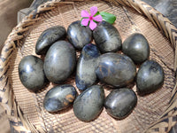 Polished Pharaoh Stone Palm Stones x 12 From Zimbabwe