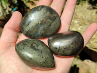 Polished Pharaoh Stone Palm Stones x 12 From Zimbabwe