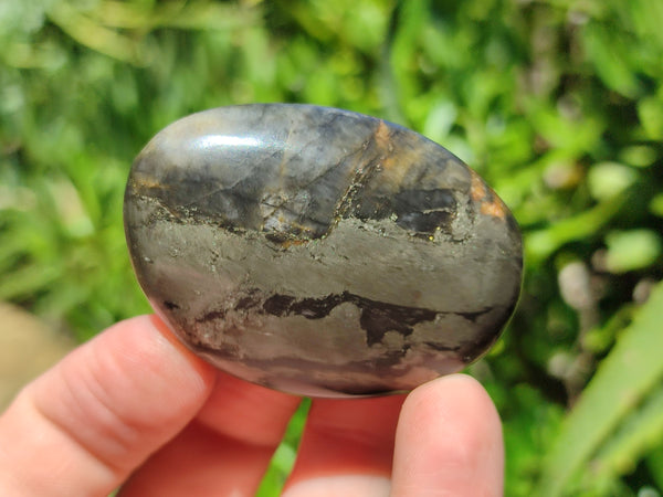 Polished Pharaoh Stone Palm Stones x 12 From Zimbabwe