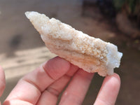 Natural Drusy Quartz Coated Calcite Pseudomorph Specimens x 20 From Lesotho