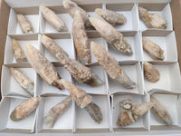 Natural Drusy Quartz Coated Calcite Pseudomorph Specimens x 20 From Lesotho