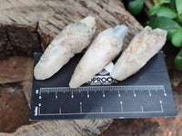 Natural Drusy Quartz Coated Calcite Pseudomorph Specimens x 20 From Lesotho