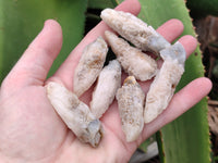 Natural Drusy Quartz Coated Calcite Pseudomorph Specimens x 20 From Lesotho