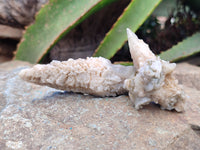 Natural Drusy Quartz Coated Calcite Pseudomorph Specimens x 20 From Lesotho