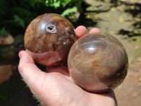 Polished Petrified Wood Spheres x 3 From Gokwe, Zimbabwe