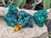 Natural Silky Malachite Specimens x 3 From Kasompe, Congo