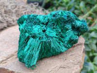 Natural Silky Malachite Specimens x 3 From Kasompe, Congo