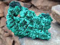 Natural Silky Malachite Specimens x 3 From Kasompe, Congo