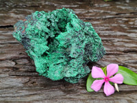 Natural Silky Malachite Specimens x 3 From Kasompe, Congo