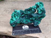 Natural Silky Malachite Specimens x 3 From Kasompe, Congo