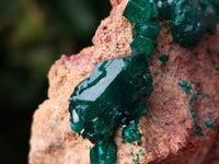 Natural Dioptase On Dolomite Specimens x 3 From Likasi, Congo