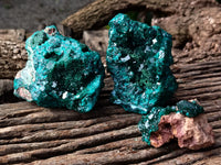 Natural Dioptase On Dolomite Specimens x 3 From Likasi, Congo