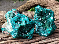 Natural Dioptase On Dolomite Specimens x 3 From Likasi, Congo