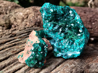 Natural Dioptase On Dolomite Specimens x 3 From Likasi, Congo