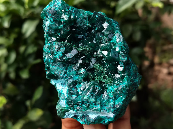 Natural Dioptase On Dolomite Specimens x 3 From Likasi, Congo