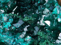 Natural Dioptase On Dolomite Specimens x 3 From Likasi, Congo