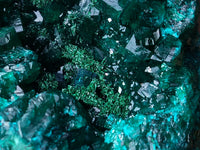 Natural Dioptase On Dolomite Specimens x 3 From Likasi, Congo