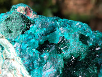 Natural Dioptase On Dolomite Specimens x 3 From Likasi, Congo