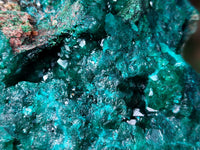 Natural Dioptase On Dolomite Specimens x 3 From Likasi, Congo