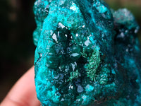 Natural Dioptase On Dolomite Specimens x 3 From Likasi, Congo