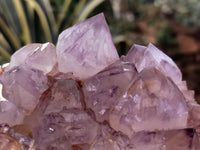 Natural Amethyst Spirit Quartz Clusters x 2 From Boekenhouthoek, South Africa