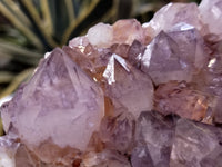 Natural Amethyst Spirit Quartz Clusters x 2 From Boekenhouthoek, South Africa