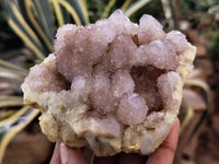 Natural Amethyst Spirit Quartz Clusters x 2 From Boekenhouthoek, South Africa