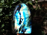 Polished Labradorite Standing Free Forms x 2 From Tulear, Madagascar