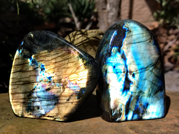 Polished Labradorite Standing Free Forms x 2 From Tulear, Madagascar