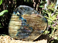 Polished Labradorite Standing Free Forms x 2 From Tulear, Madagascar