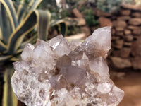 Natural Spirit Quartz Clusters x 2 From Boekenhouthoek, South Africa