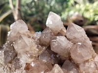 Natural Spirit Quartz Clusters x 2 From Boekenhouthoek, South Africa