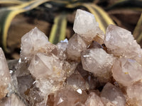 Natural Spirit Quartz Clusters x 2 From Boekenhouthoek, South Africa