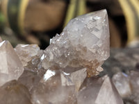 Natural Spirit Quartz Clusters x 2 From Boekenhouthoek, South Africa