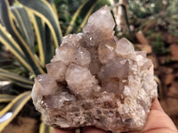 Natural Spirit Quartz Clusters x 2 From Boekenhouthoek, South Africa