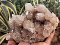 Natural Spirit Quartz Clusters x 2 From Boekenhouthoek, South Africa