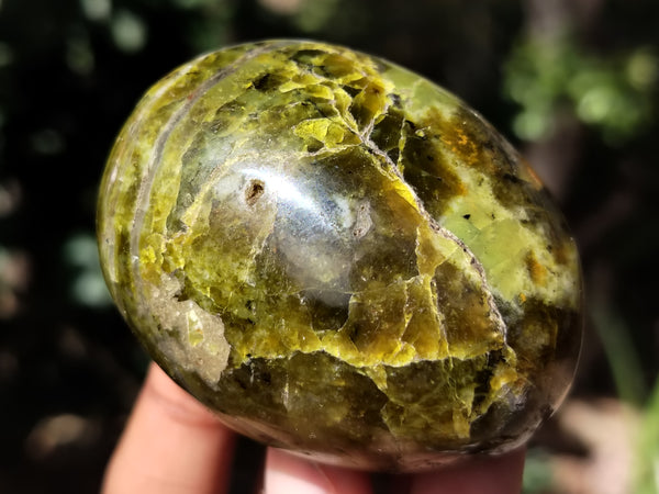 Polished Green Opal Palm Stones x 12 From Antsirabe, Madagascar