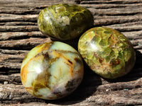 Polished Green Opal Palm Stones x 12 From Antsirabe, Madagascar