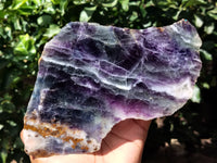 Polished Watermelon Fluorite Slices x 2 From Uis, Namibia