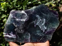 Polished Watermelon Fluorite Slices x 2 From Uis, Namibia