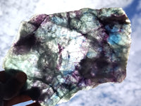 Polished Watermelon Fluorite Slices x 2 From Uis, Namibia