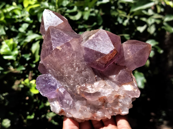 Natural Jacaranda Amethyst Quartz Clusters x 2 from Mumbwa, Zambia