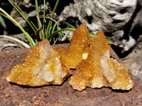 Natural Golden Solar Spirit Quartz Clusters x 35 From Boekenhouthoek, South Africa