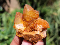 Natural Golden Solar Spirit Quartz Clusters x 35 From Boekenhouthoek, South Africa